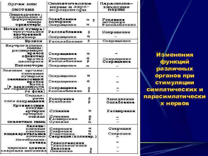 Изменения функций различных органов при стимуляции симпатических и парасимпатически х нервов 