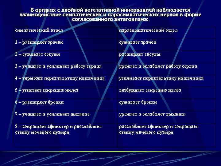 В органах с двойной вегетативной иннервацией наблюдается взаимодействие симпатических и парасимпатических нервов в форме