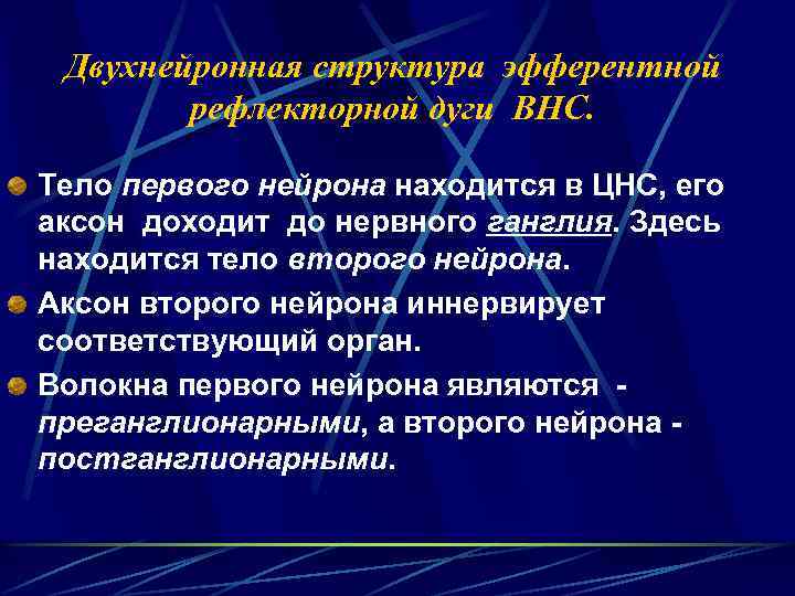 Двухнейронная структура эфферентной рефлекторной дуги ВНС. Тело первого нейрона находится в ЦНС, его аксон