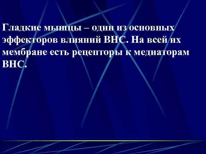 Гладкие мышцы – один из основных эффекторов влияний ВНС. На всей их мембране есть