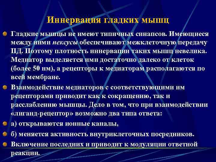 Иннервация гладких мышц Гладкие мышцы не имеют типичных синапсов. Имеющиеся между ними нексусы обеспечивают