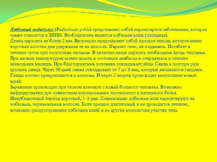 Лобковый педикулез (Pediculosis pubis) представляет собой паразитарное заболевание, которое также относится к ЗППП. Возбудителем