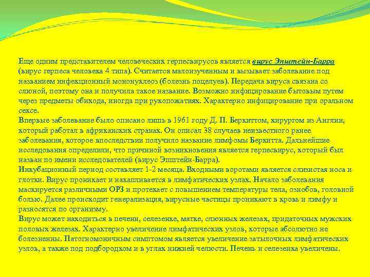 Еще одним представителем человеческих герпесвирусов является вирус Эпштейн-Барра (вирус герпеса человека 4 типа). Считается