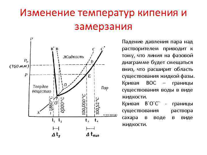 Фазовые диаграммы полимер растворитель