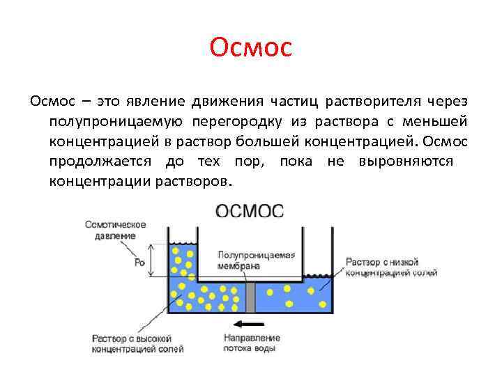 Осмос – это явление движения частиц растворителя через полупроницаемую перегородку из раствора с меньшей