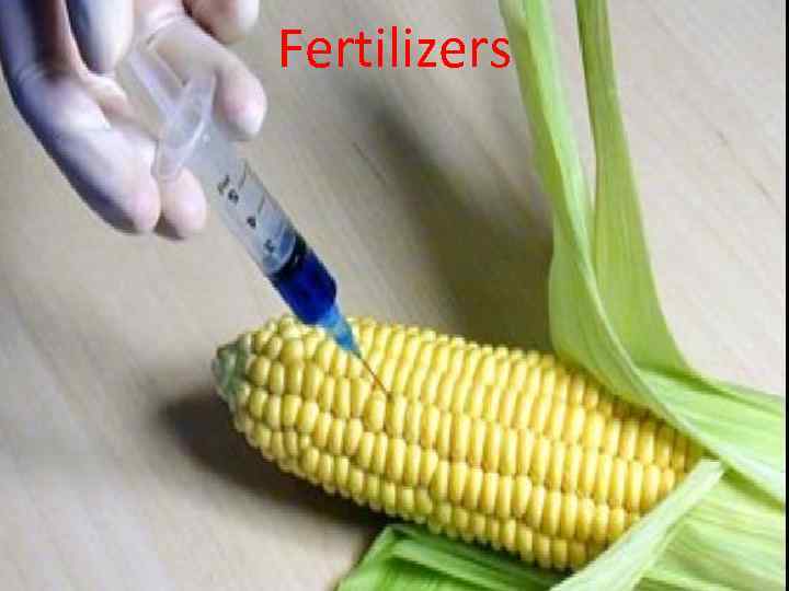 Fertilizers 