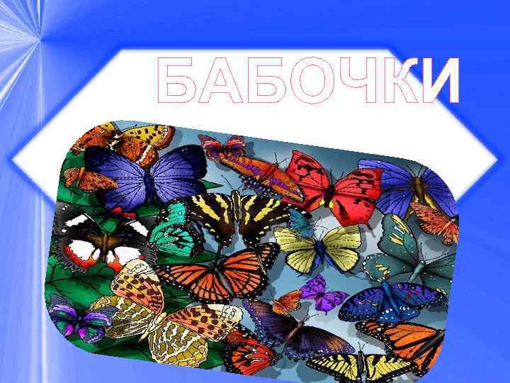 БАБОЧКИ 