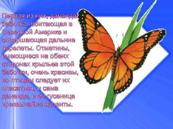 Первая из них, данаида, бабочка, обитающая в Северной Америке и совершающая дальние перелеты. Отметины,