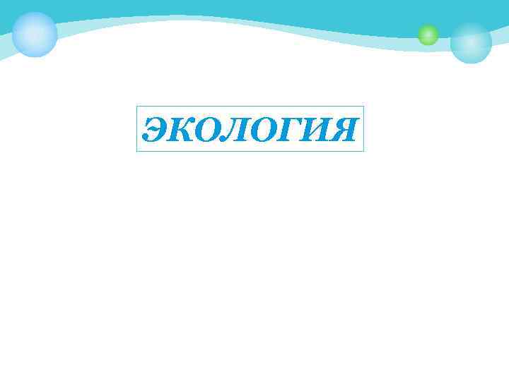 ЭКОЛОГИЯ 