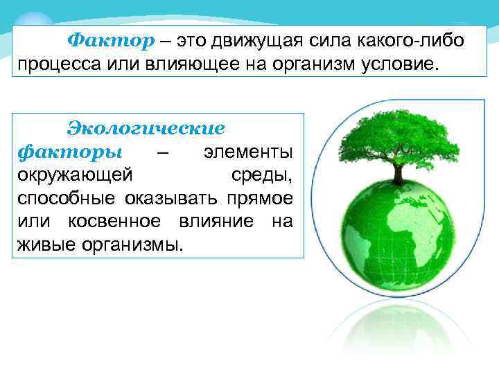 Фактор – это движущая сила какого-либо процесса или влияющее на организм условие. Экологические факторы