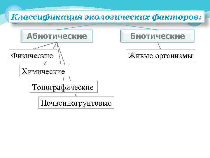 Рассмотрите предложенную схему классификации экологических факторов