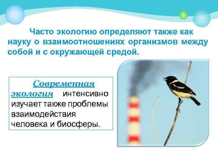 Часто экологию определяют также как науку о взаимоотношениях организмов между собой и с окружающей