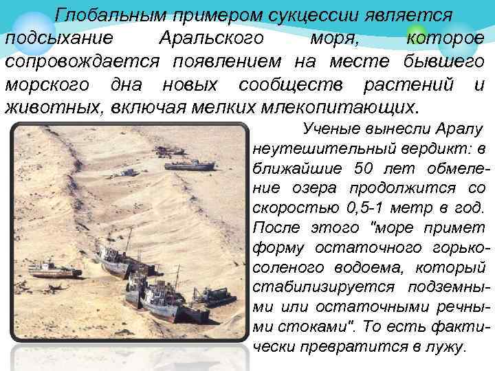 Глобальным примером сукцессии является подсыхание Аральского моря, которое сопровождается появлением на месте бывшего морского