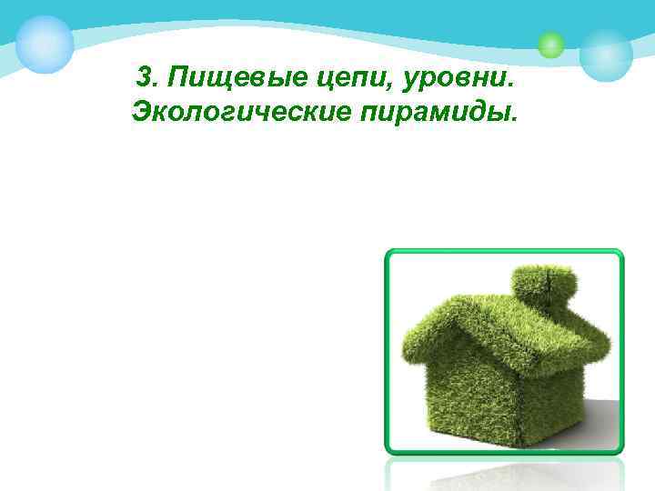 3. Пищевые цепи, уровни. Экологические пирамиды. 