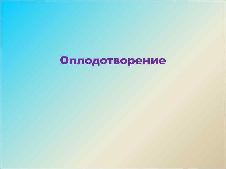 Оплодотворение 