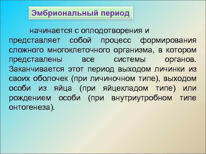 Эмбриональный период начинается с оплодотворения и представляет собой процесс формирования сложного многоклеточного организма, в