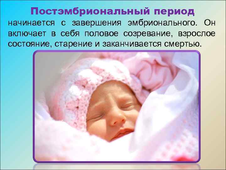 Постэмбриональный период начинается с завершения эмбрионального. Он включает в себя половое созревание, взрослое состояние,