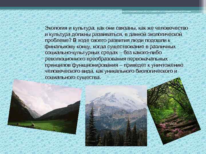 Экология и культура, как они связаны, как же человечество и культура должны развиваться, в