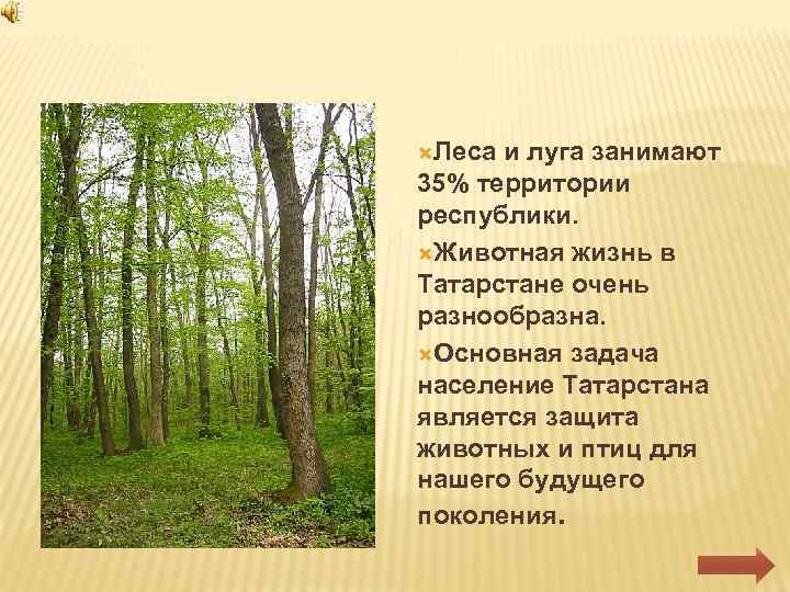  Леса и луга занимают 35% территории республики. Животная жизнь в Татарстане очень разнообразна.