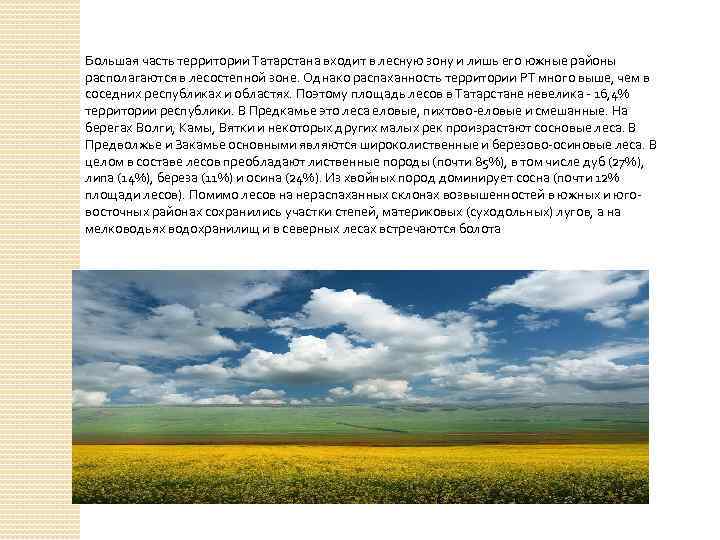 Большая часть территории Татарстана входит в лесную зону и лишь его южные районы располагаются