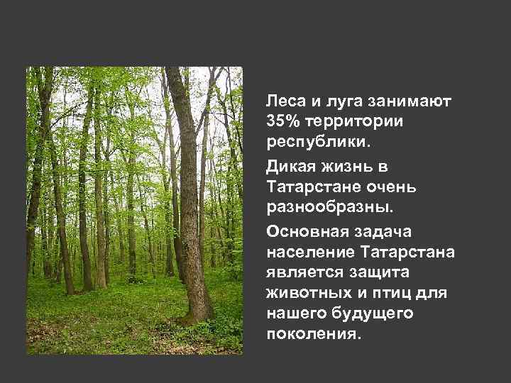 Леса и луга занимают 35% территории республики. Дикая жизнь в Татарстане очень разнообразны. Основная