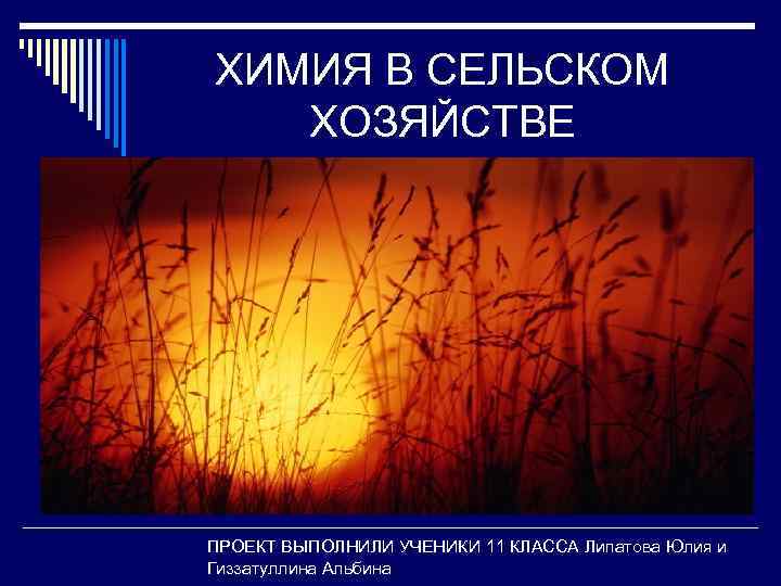 ХИМИЯ В СЕЛЬСКОМ ХОЗЯЙСТВЕ ПРОЕКТ ВЫПОЛНИЛИ УЧЕНИКИ 11 КЛАССА Липатова Юлия и Гиззатуллина Альбина
