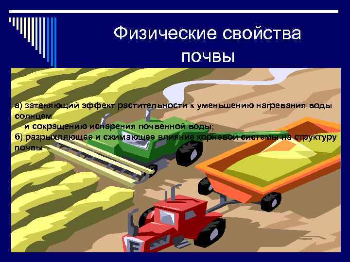 Физические свойства почвы а) затеняющий эффект растительности к уменьшению нагревания воды солнцем и сокращению