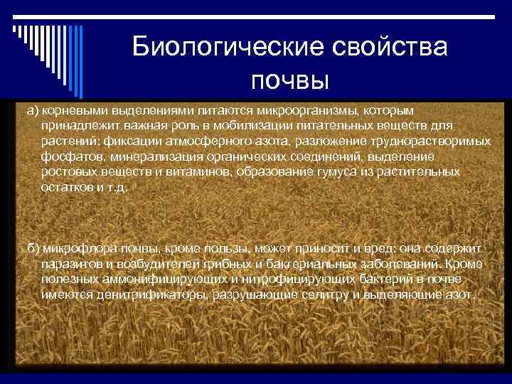 Биологические свойства почвы а) корневыми выделениями питаются микроорганизмы, которым принадлежит важная роль в мобилизации