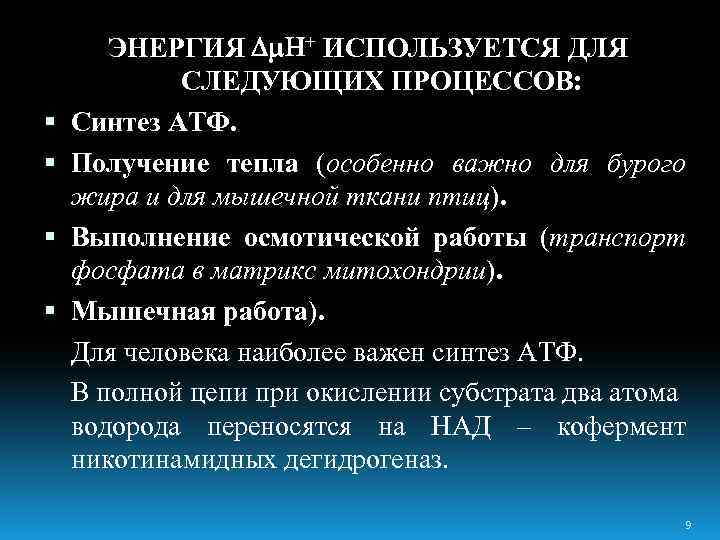  ЭНЕРГИЯ + ИСПОЛЬЗУЕТСЯ ДЛЯ СЛЕДУЮЩИХ ПРОЦЕССОВ: Синтез АТФ. Получение тепла (особенно важно для