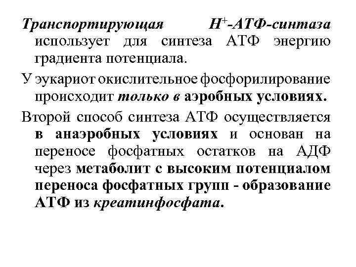 Транспортирующая H+-АТФ-синтаза использует для синтеза АТФ энергию градиента потенциала. У эукариот окислительное фосфорилирование происходит