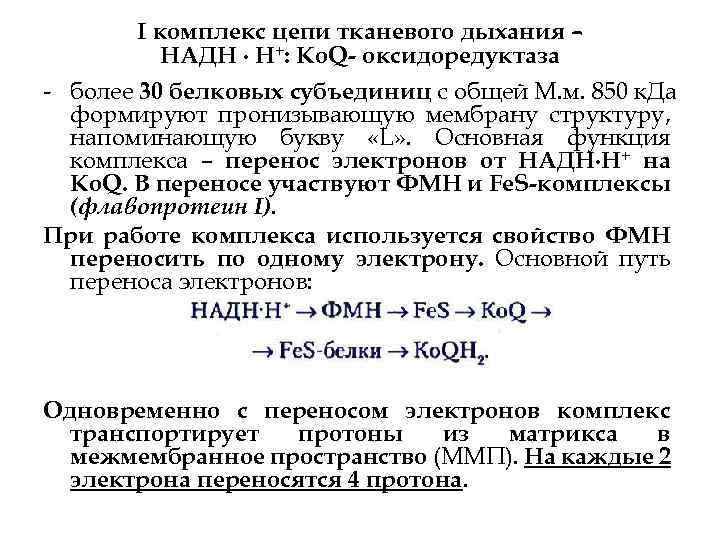 I комплекс цепи тканевого дыхания – НАДН ∙ Н+: Ko. Q- оксидоредуктаза более 30