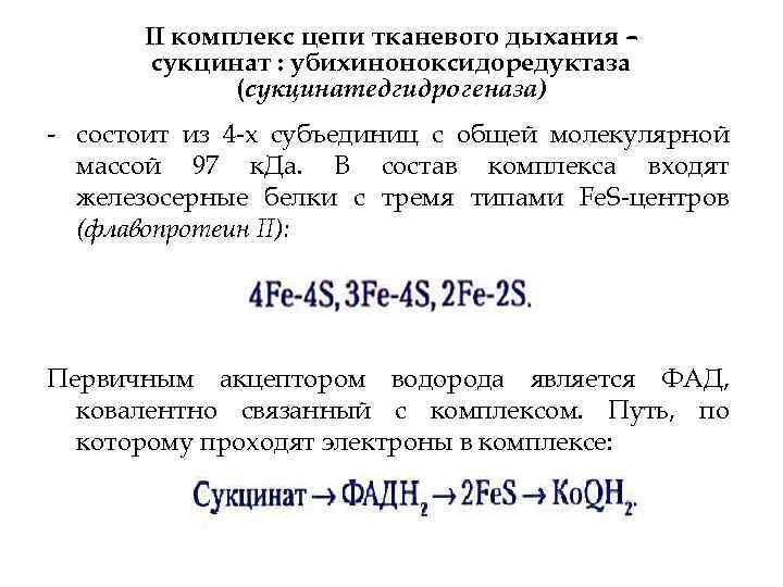 II комплекс цепи тканевого дыхания – сукцинат : убихиноноксидоредуктаза (сукцинатедгидрогеназа) состоит из 4 х