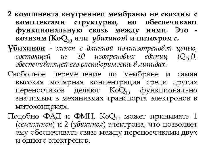 2 компонента внутренней мембраны не связаны с комплексами структурно, но обеспечивают функциональную связь между