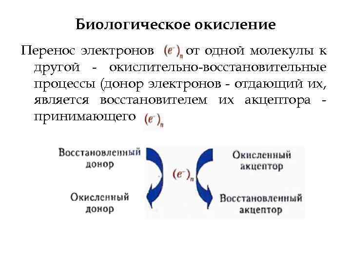 Биологическое окисление Перенос электронов от одной молекулы к другой окислительно восстановительные процессы (донор электронов