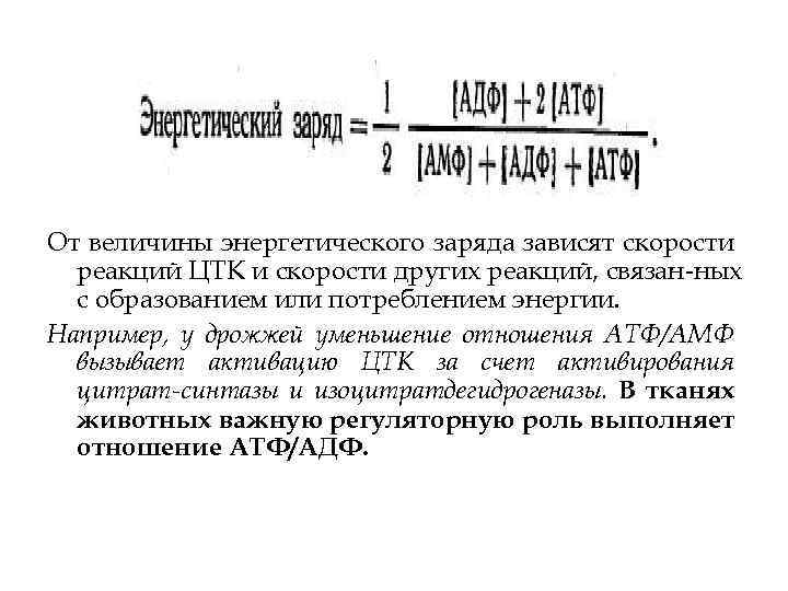 От величины энергетического заряда зависят скорости реакций ЦТК и скорости других реакций, связан ных