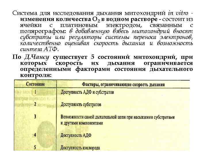 Система для исследования дыхания митохондрий in vitro изменения количества О 2 в водном растворе