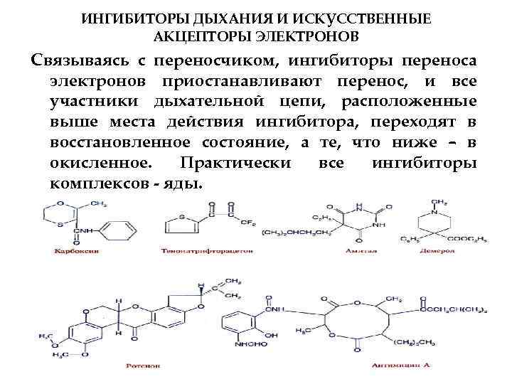 ИНГИБИТОРЫ ДЫХАНИЯ И ИСКУССТВЕННЫЕ АКЦЕПТОРЫ ЭЛЕКТРОНОВ Связываясь с переносчиком, ингибиторы переноса электронов приостанавливают перенос,