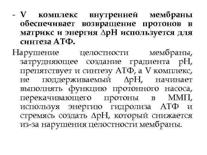  V комплекс внутренней мембраны обеспечивает возвращение протонов в матрикс и энергия ∆р. Н