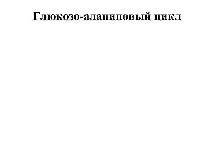 Глюкозо-аланиновый цикл 