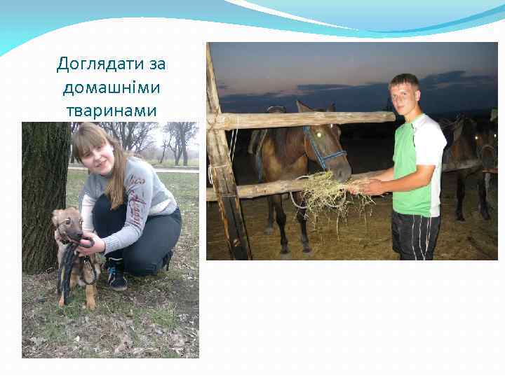 Доглядати за домашніми тваринами 