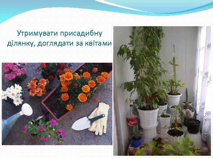 Утримувати присадибну ділянку, доглядати за квітами 