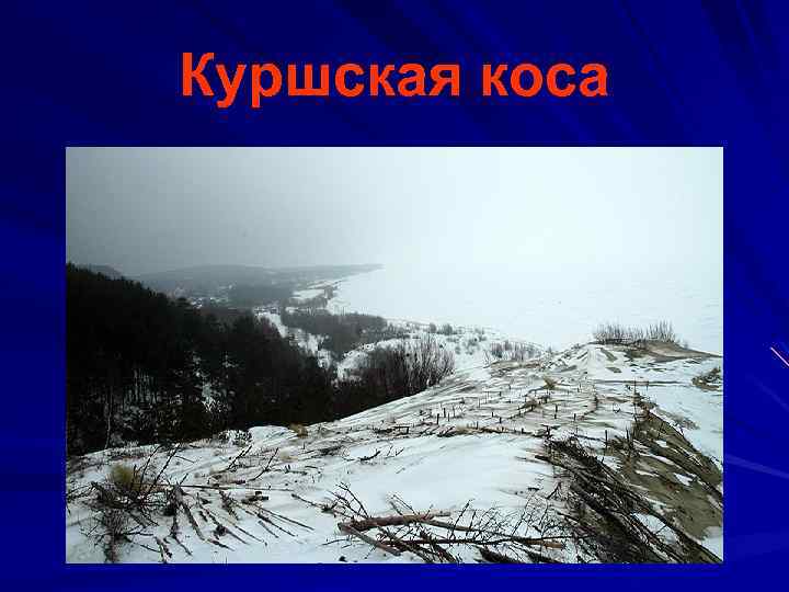 Куршская коса 