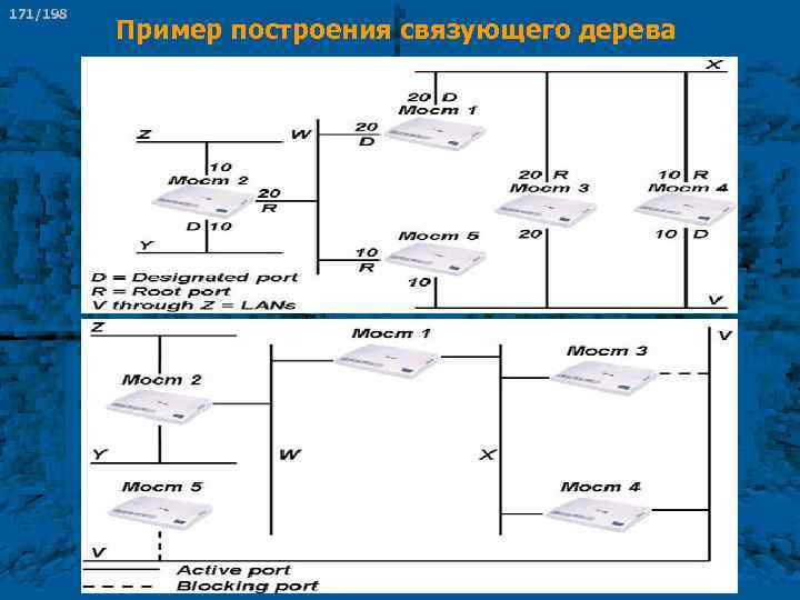 171/198 Пример построения связующего дерева 