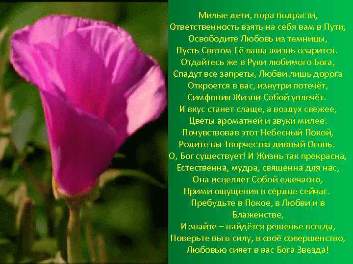 Милые дети, пора подрасти, Ответственность взять на себя вам в Пути, Освободите Любовь из