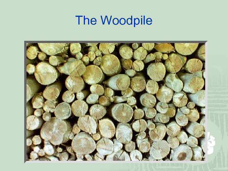 The Woodpile 