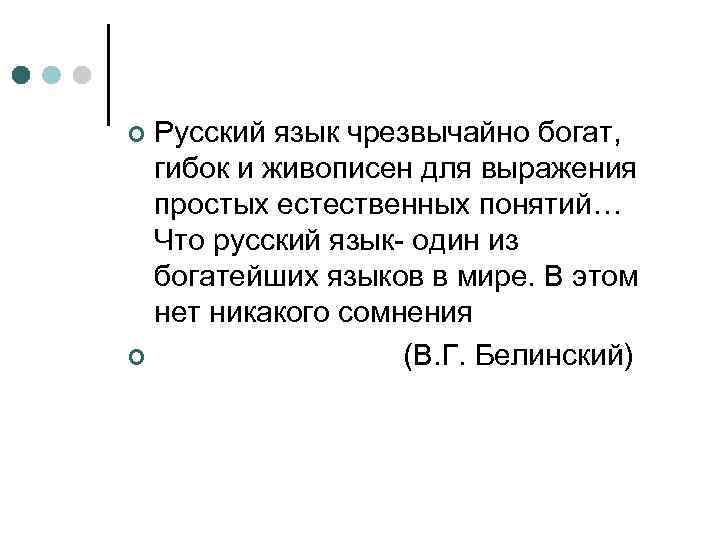 Русский язык чрезвычайно богат, гибок и живописен для выражения простых естественных понятий… Что русский