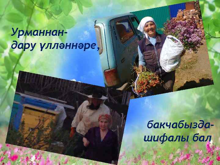 Урманнандару үлләннәре, бакчабыздашифалы бал 
