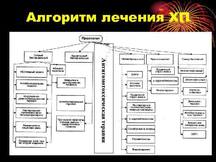Алгоритм лечения ХП Антигомотоксическая терапия 