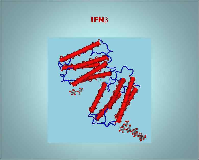 IFN 