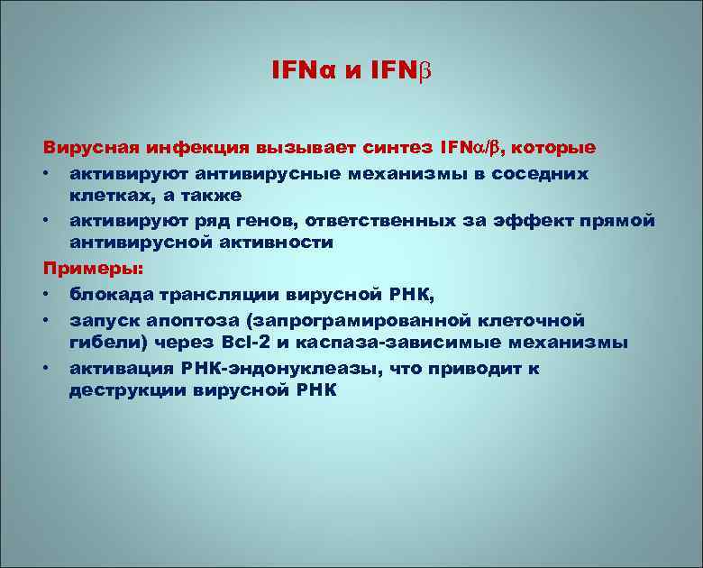 IFNα и IFN Вирусная инфекция вызывает синтез IFN / , которые • активируют антивирусные